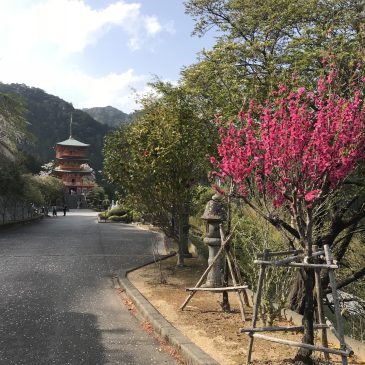 Nachikatsuura 那智勝浦