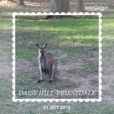 Daisy Hill, Queensland, Australia